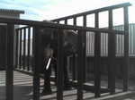 20071023_0057.JPG