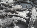 20071023_0065.JPG