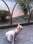 20071023_0070.JPG