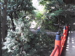 20071024_0111.JPG