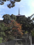 20071109_0713.JPG