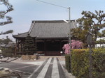 20080405_0177.JPG
