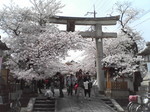 20080405_0180.JPG