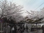 20080405_0182.JPG