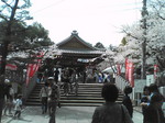20080405_0184.JPG