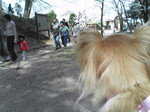 20080405_0188.JPG