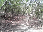 20080405_0197.JPG