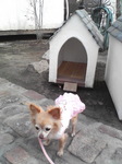20080405_0204.JPG