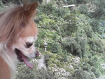 20080712_0029.JPG