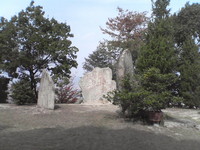 20081103_0199.JPG