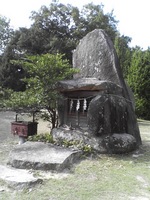20081103_0204.JPG