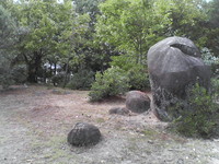 20081103_0216.JPG
