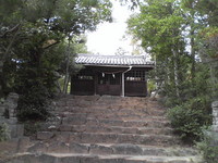 20081103_0218.JPG