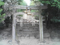 20081103_0220.JPG