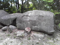 20081103_0224.JPG