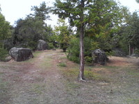 20081103_0227.JPG