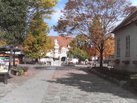20081104_0298.JPG