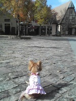 20081104_0303.JPG