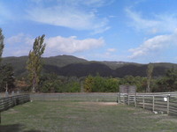 20081104_0309.JPG