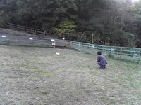 20081104_0313.JPG