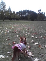 20081104_0315.JPG