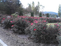 20081104_0316.JPG