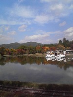 20081104_0322.JPG