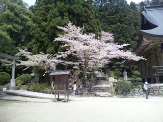 20100506_051.JPG