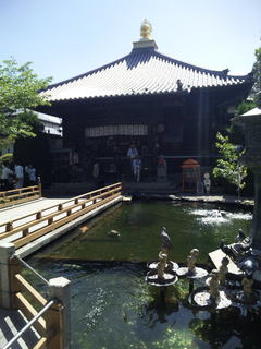 20110507_176.JPG