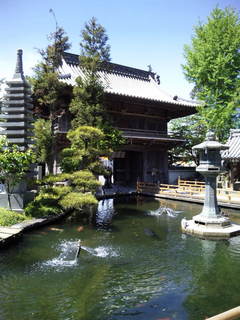 20110507_182.JPG