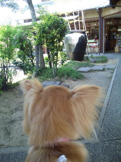 20110507_194.JPG