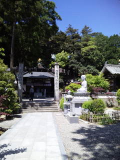 20110507_205.JPG