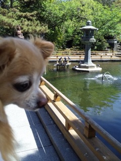 20110507_253.JPG