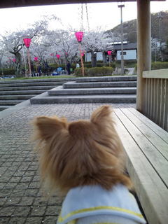 20120414_012.JPG