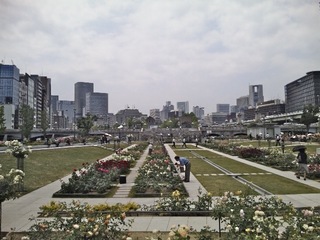 20120601_194-2.jpg