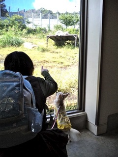 20141016_075-2.jpg