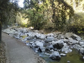 20220410_0018.JPG